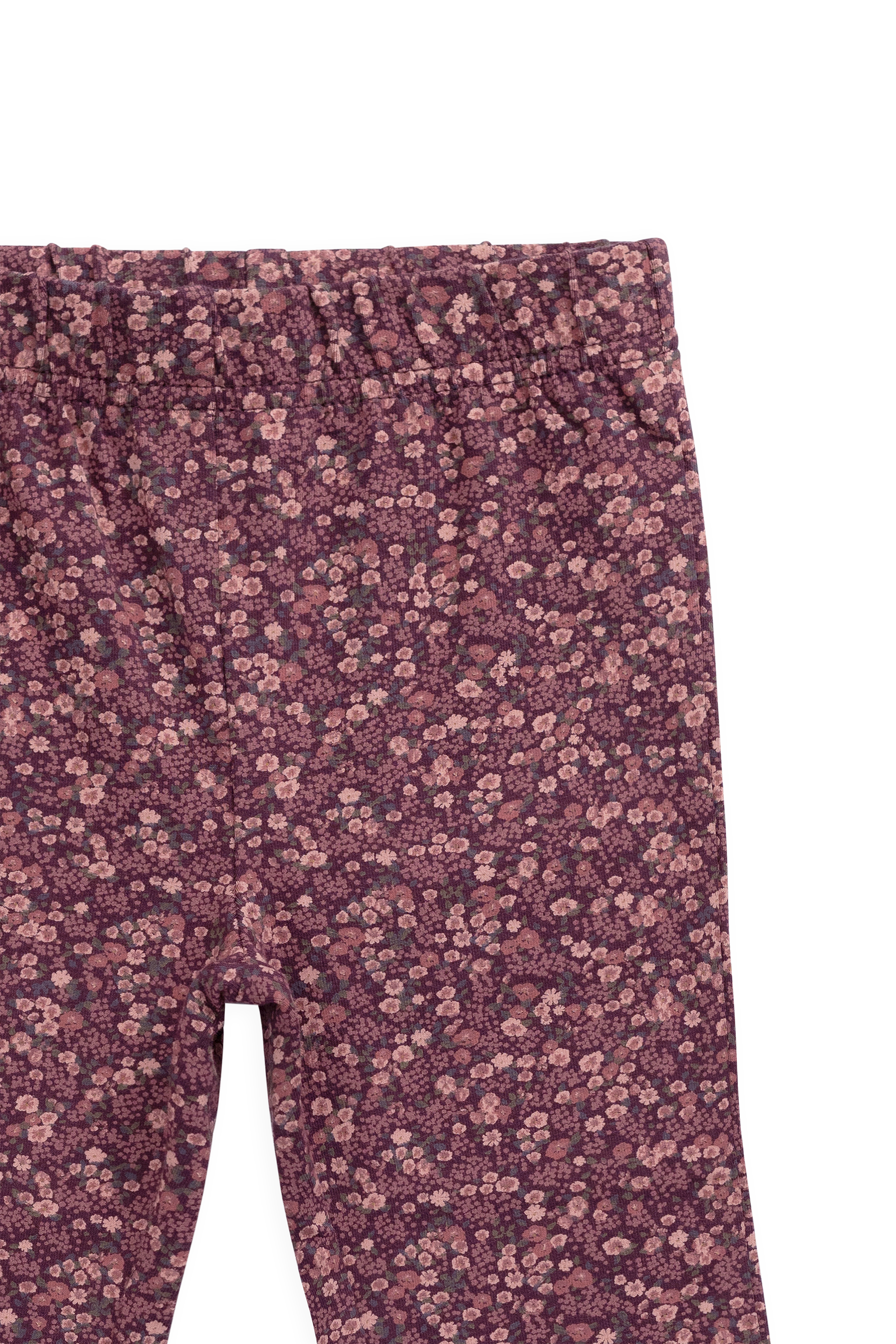 Organic Cotton Pant